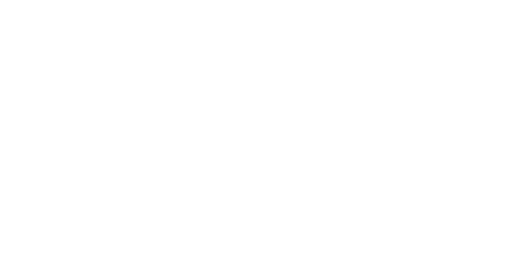 MVT Solutions Group